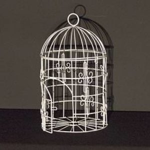 Cage oiseaux