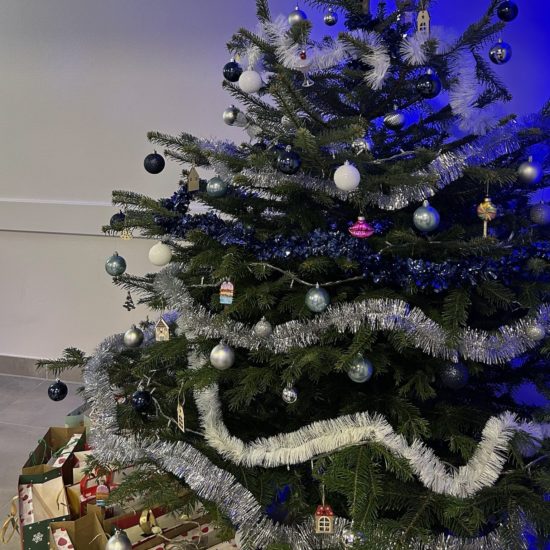arbre de noël - cherbourg - Floreale - agence événementielle