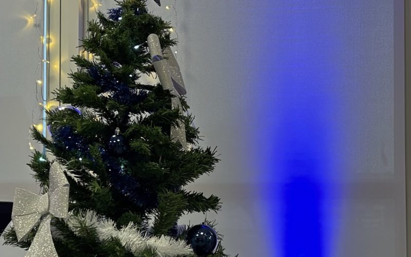 Arbre de Noël – Floréale