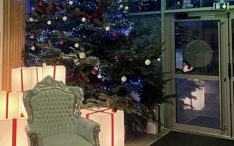 Arbre de Noël – Delplast