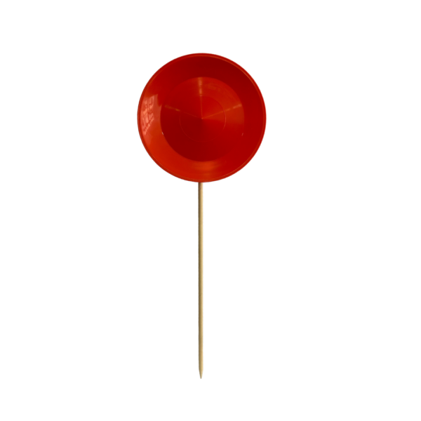 Elégant simple post Instagram collection photo - 2025-05-15T161503.211