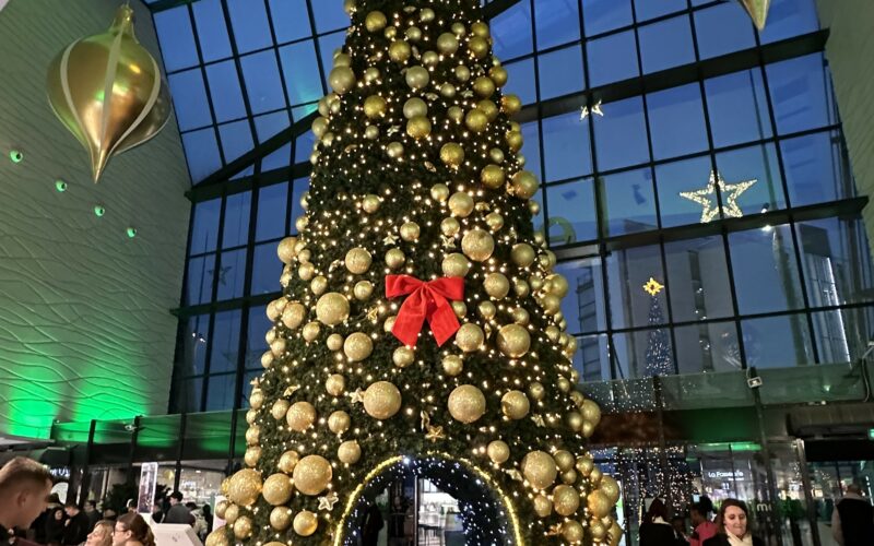 Lancement des illuminations de Noël – Les Éléis